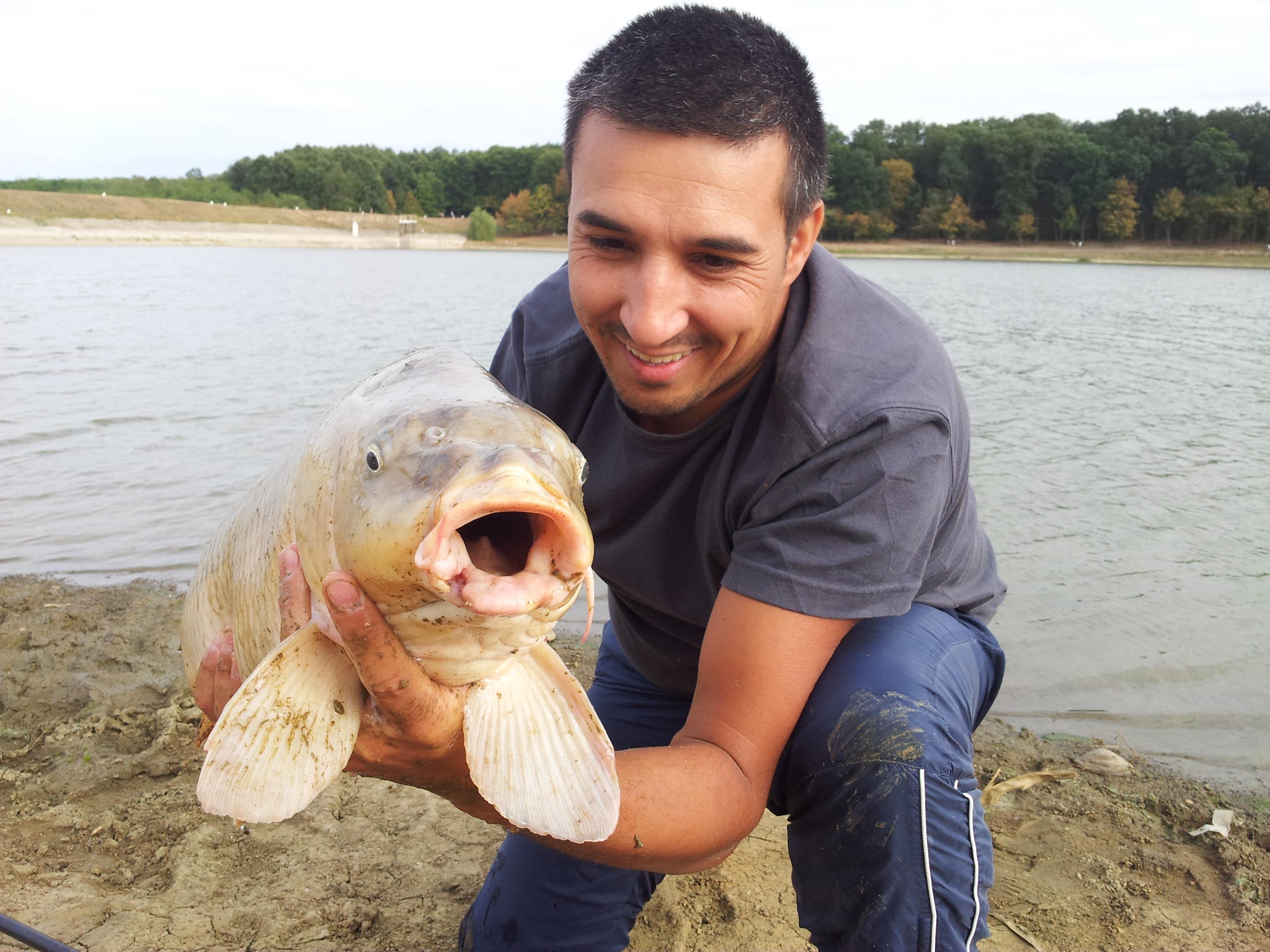 Cetariu 16 - 16 sep. 2012 - 20120916_164901.jpg